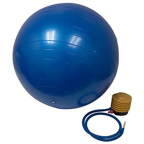 Cockatoo Gym Exercise Ball | Anti-Burst Stability Ball for Fitness, Yoga & Core Training