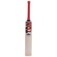SS TON Gold Edition English Willow Cricket Bat 2026 – Premium Grade 1 Match Bat for Leather Ball Cricket JR SPORTING GOODS INC