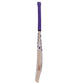 SS TON Glory English Willow Cricket Bat – Premium Grade Short Handle | 2026 Edition JR SPORTING GOODS INC