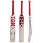 SS TON Gold Edition English Willow Cricket Bat 2026 – Premium Grade 1 Match Bat for Leather Ball Cricket JR SPORTING GOODS INC