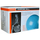 Cockatoo Gym Exercise Ball | Anti-Burst Stability Ball for Fitness, Yoga & Core Training