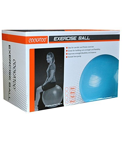 Cockatoo Gym Exercise Ball | Anti-Burst Stability Ball for Fitness, Yoga & Core Training