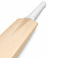 JR IPL Edition English Willow Cricket Bat With Sticker – Limited Time Offer JR SPORTING GOODS INC