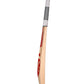 SG 70 Sunny Years English Willow Cricket Bat 2026 – Limited Edition Premium Cricket Bat JR SPORTING GOODS INC