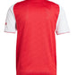 Arsenal Football Jersey 2025-26 jrsportinggoods.com