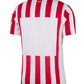 Atletico Madrid 2025-26 Home Jersey jrsportinggoods.com