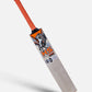 HS 96 ENGLISH WILLOW CRICKET BAT