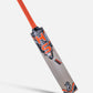 HS 96 ENGLISH WILLOW CRICKET BAT