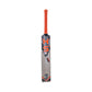 HS 96 ENGLISH WILLOW CRICKET BAT