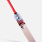 HS ICON (MARLON SAMUELS) ENGLISH WILLOW CRICKET BAT