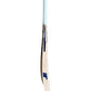 JR GLADIATOR ENGLISH WILLOW CRICKET BAT