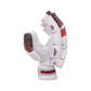 SG PROSOFT CRICKET BATTING GLOVES JR SPORTS