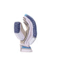 SG RSD XTREME CRICKET BATTING GLOVES JR SPORTS