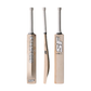 SF Transformation 2.0 Cricket Bat