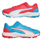 PUMA 24 FH Rubber Cricket Shoes Luminous Blue Puma White – Dual Color Grip & Comfort 2026 jrsportinggoods.com