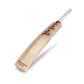SG Sunny Tonny ARC 2.0 English Willow Cricket Bat 2026 | Premium Professional Match Bat JR SPORTING GOODS INC