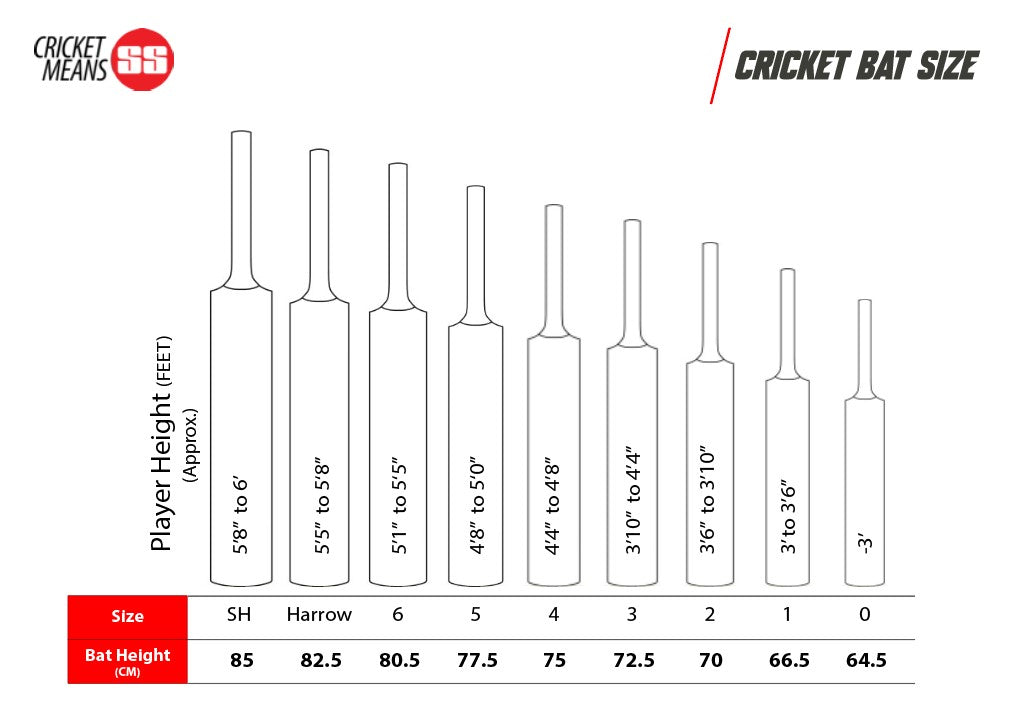 SS Storm English Willow Cricket Bat – Thunder Strike Edition JR SPORTING GOODS INC